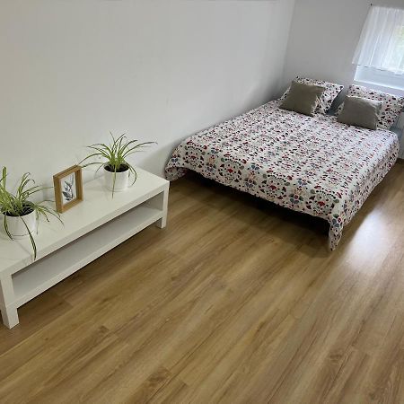 Green Apartment - Free Parking คาโตวีตเซ ภายนอก รูปภาพ